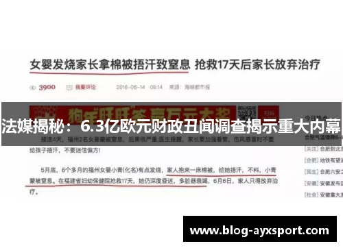 法媒揭秘：6.3亿欧元财政丑闻调查揭示重大内幕